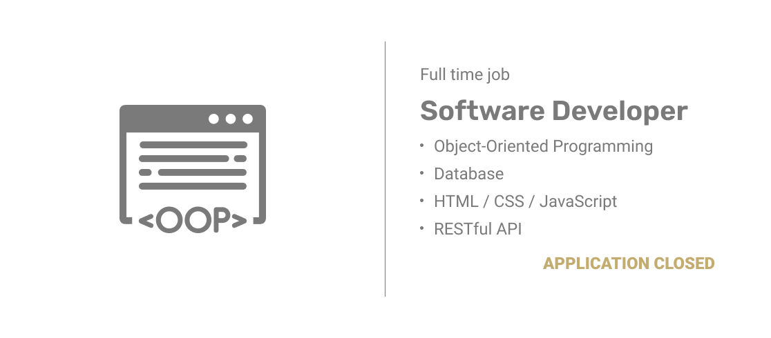 Software Developer